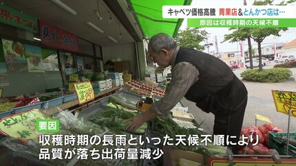 キャベツ価格高騰の影響：とんかつ店が直面する苦境とは？