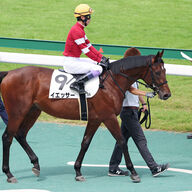 3.4億円の超高額馬イエッサー、デビュー戦でまさかの最下位！ファンの反応は？