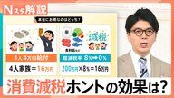 物価高に立ち向かう/ 時限的減税のメリット・デメリット