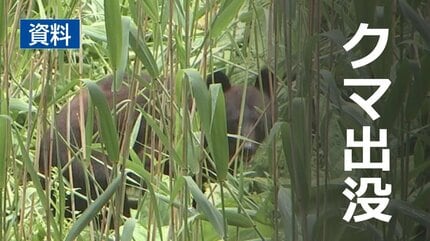 秋田で発生！ランニング中のクマ襲撃事件の真相