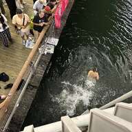 大阪市が明かす！道頓堀川の水位調整と阪神優勝の関係