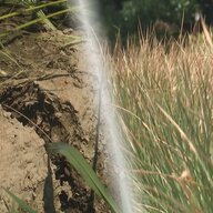 新米ピンチ！水不足がもたらすコメ農業の危機