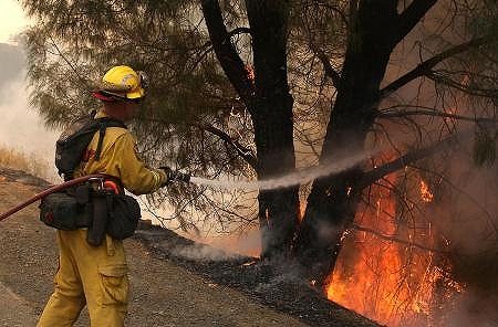 山火事拡大の裏側：5人が命を失い、避難命令が10万人に及ぶ
