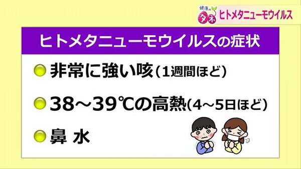 呼吸器疾患の新たな脅威：ヒトメタニューモウイルスとは何か？