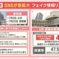 選挙とSNSの関係：フェイク情報に負けないためのガイド