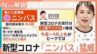 新型コロナ「ニンバス」直撃！感染対策とその特徴を徹底解説