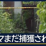 生まれながらに人馴れ？岩手のクマとの接触事故を考える