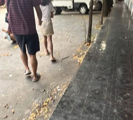東南アジアにおける日本人の行動：ラオスと少女買春の問題