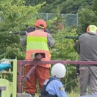 再び猛威を振るうヒグマ！新聞配達員が襲われた衝撃の真相