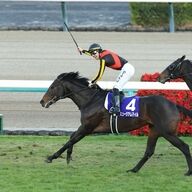 ミュージアムマイルの快挙！C・デムーロが有馬記念を制覇した理由