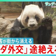 宿泊費が2万円から半額以下になった？京都鎌倉