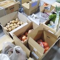 2025参院選にみる物価高対策：現金給付 vs 消費税減税