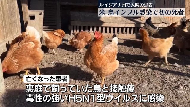 米国初の鳥インフル感染による死亡者が示す問題点