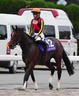 【悲報】リバティアイランドが安楽死、競走中止の衝撃！