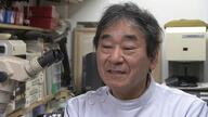 歯科技工士の過酷な実態：時給600円の真実