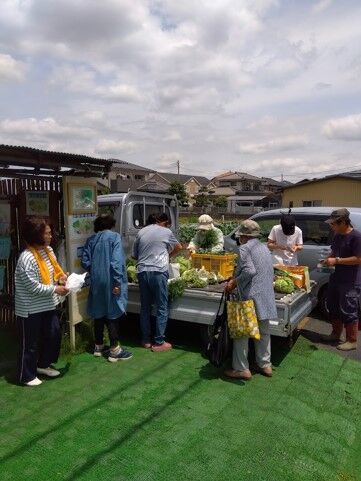 家計救済！直売所で見つけたお得な野菜とその活用法