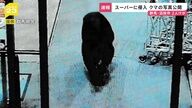 群馬・沼田市のスーパーにクマ出没！客2人が襲われた事件の真相