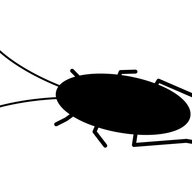 都内で増えるワモンゴキブリの恐怖！その生態と駆除方法