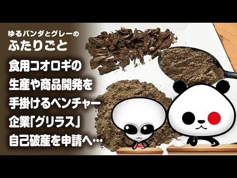 破産したコオロギ食ベンチャーの教訓：社長のリベンジ誓う物語