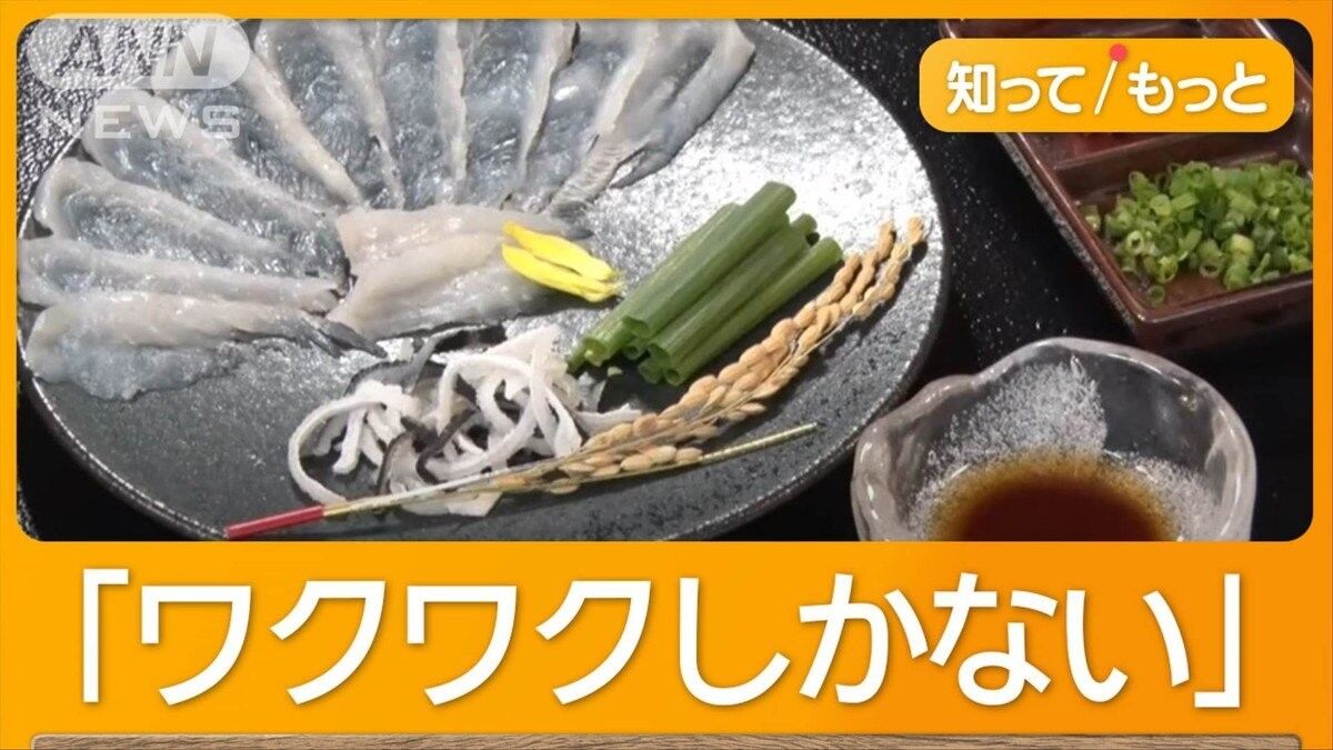 千葉で巨大トラフグが入れ食い！年末年始の新定番