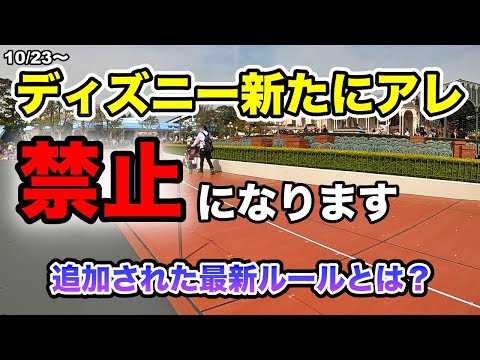 ディズニーの「強制退園」問題：開園ダッシュを巡るトレンドの真相