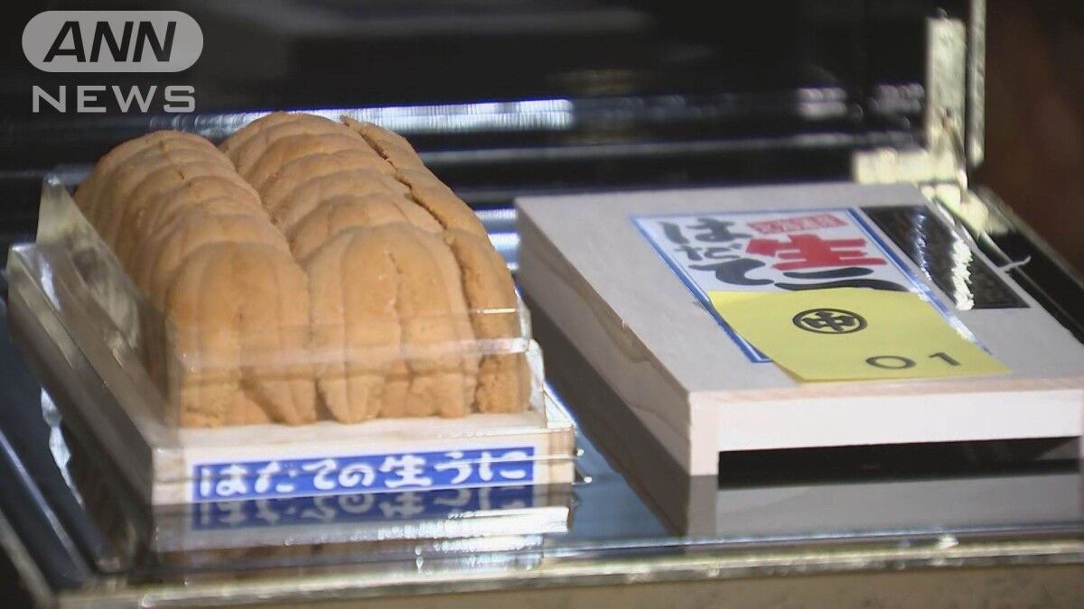 生ウニの驚異的な価格：豊洲市場での700万円競り落としの背景