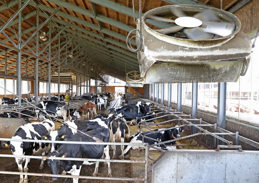 北海道の牛舎火事：全焼の影響と地域の反応