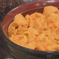 エゾバフンウニの異変！驚きの価格と漁業の未来