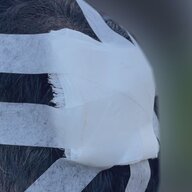 熊本マンション泥団子事件：投げた小学生と受けた男性のそれぞれの言い分