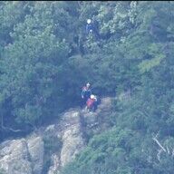 北海道、羅臼岳でのクマ襲撃事件とは？