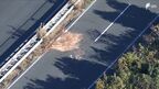 飲酒運転と逆走が引き起こした命の重さ: 浜松市の事故詳報