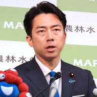 コメ業者間相場の急落！備蓄米、どうなる？