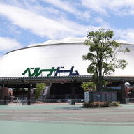 売り子撮影禁止が引き起こす賛否：西武ファンの反応