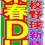 高校野球にDH制導入決定！新しい時代のスタート