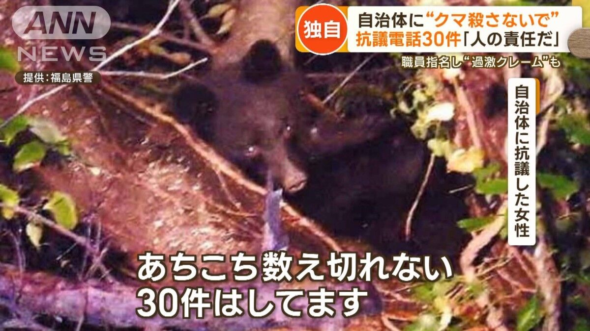 秋田知事の挑戦：クマ駆除に対する新たな姿勢とは？