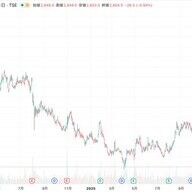 オリエンタルランドの逆風：過去最高売上でも続く株価下落の理由
