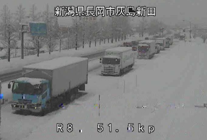 大雪警報発令！テレワーク活用法と外出自粛の重要性