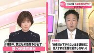 コメ価格がまた最高値更新！？その理由と政府の対応を解説