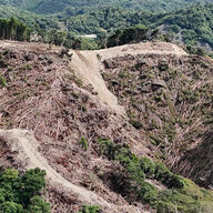 なぜメガソーラーが止まらない？全国的な問題と解決策