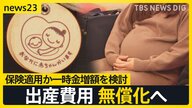 出産無償化、果たして少子化は止まるのか？