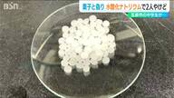 水酸化ナトリウム事件：下級生に何が起きたのか？