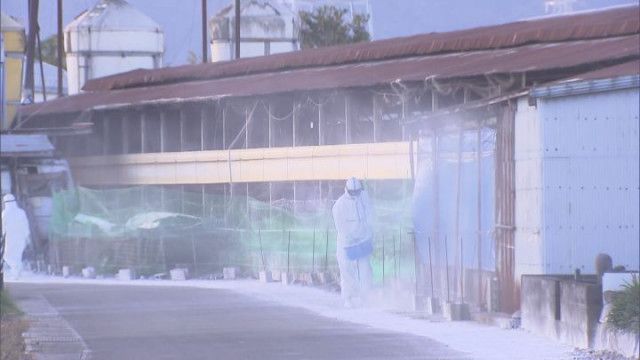 霊園で発見された遺体—奈良市に潜む死体遺棄の真実
