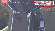 埼玉・三郷市で発生！小学生の列に車が突っ込む事件の真相とは