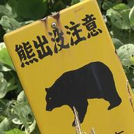 80センチのクマと50センチの柴犬の失踪事件