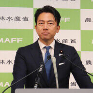 小泉進次郎氏が石破茂首相に反省要求！その真相を探る