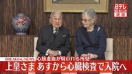 上皇さま、東大病院で検査入院へ—静養も延期
