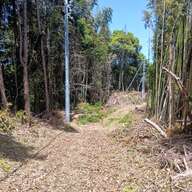 笠佐島における中国資本の土地取得とその背景