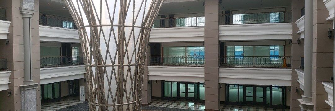 高齢者施設の闇：亡き後の富の流れとその影響