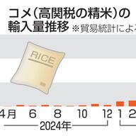 コメの民間輸入急増！令和24年度の動向とは？