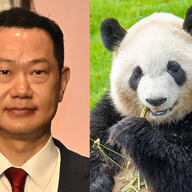 「中国から再びパンダを！」を掲げる二階元幹事長の息子の挑戦